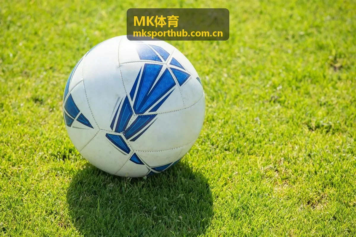 MK体育 球队专题封面图二